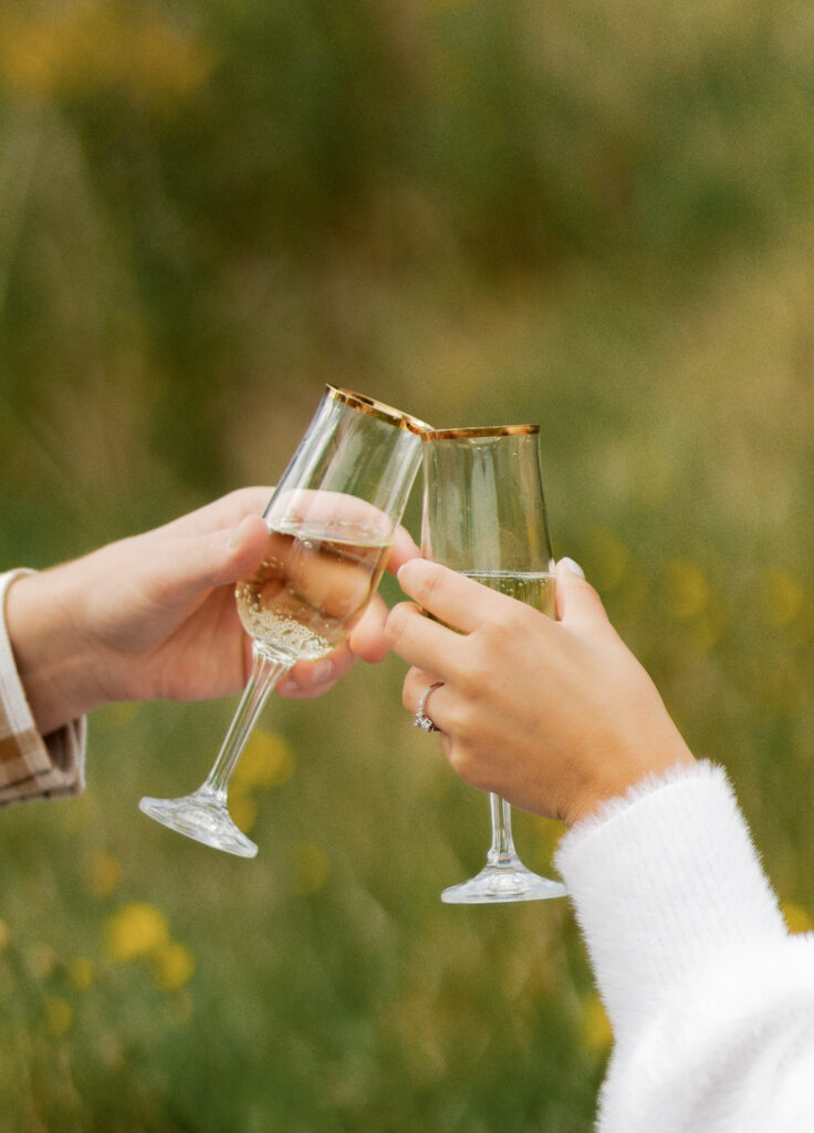 Engagement session photo.