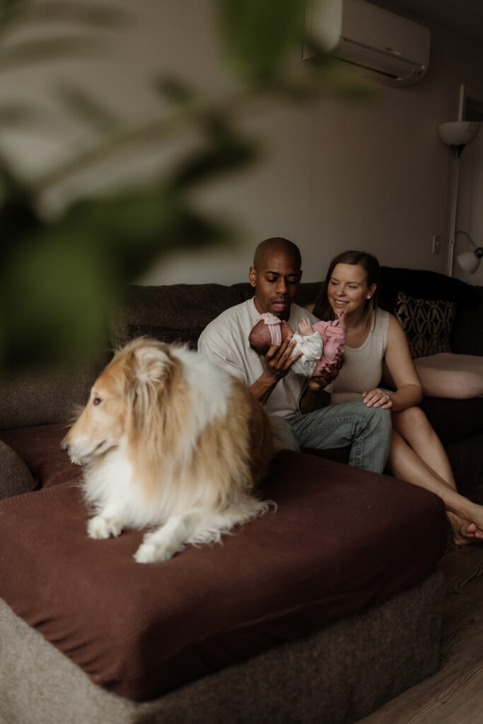Immediate family snuggling on the couch with their newborn during a newborn photoshoot with their dog. 