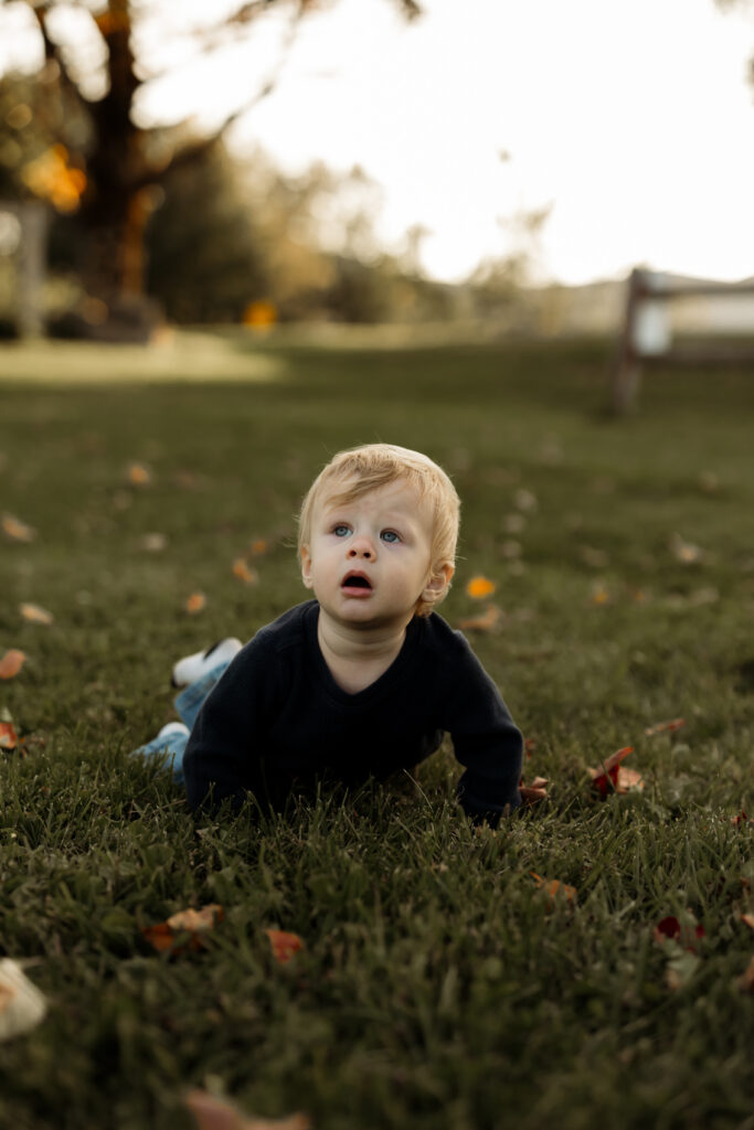 Little boy crawling in the grass and looking at his mother during a summer family photoshoot in New England