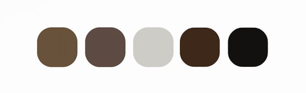 Family photo color palette featuring cream, dusty blue, forest green, mauve, and warm earth tones